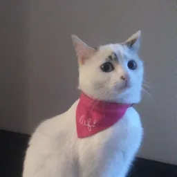 Piwing L