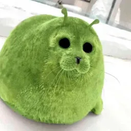 Raykuz _