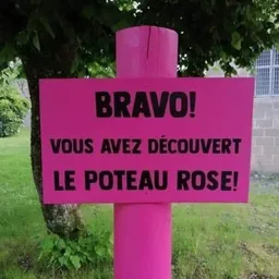 Romain Licodia